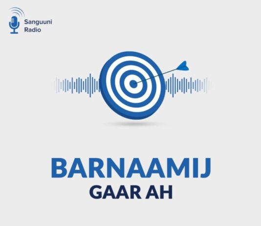 Barnaamij gaar ah oo ku saabsan Maalinta Caalamiga ah ee Nabadda Aduunka