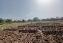 Beeraleeyda Baladweyne oo bilaabaay tacbashada Beeraha